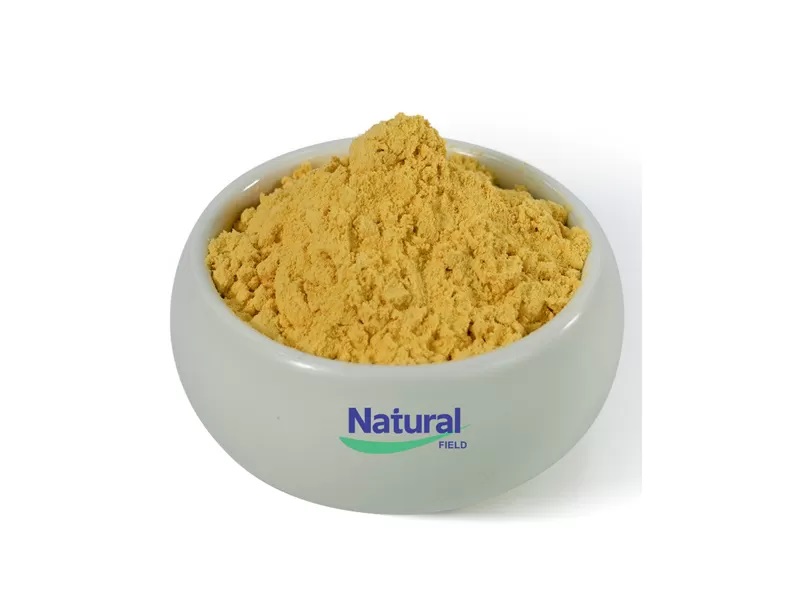 Benefits of CoQ10 for Brain Health