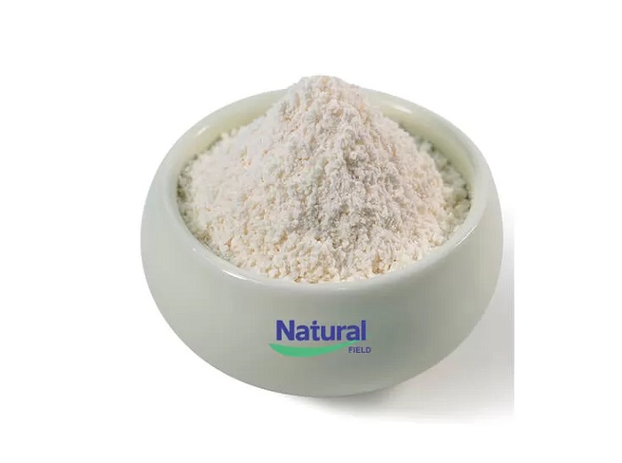 gsh-powder-3.jpg