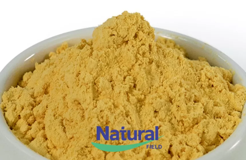 The Advantages of Our Coenzyme Q10 Powder