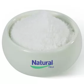 Y-Aminobutyric Acid (GABA Powder)