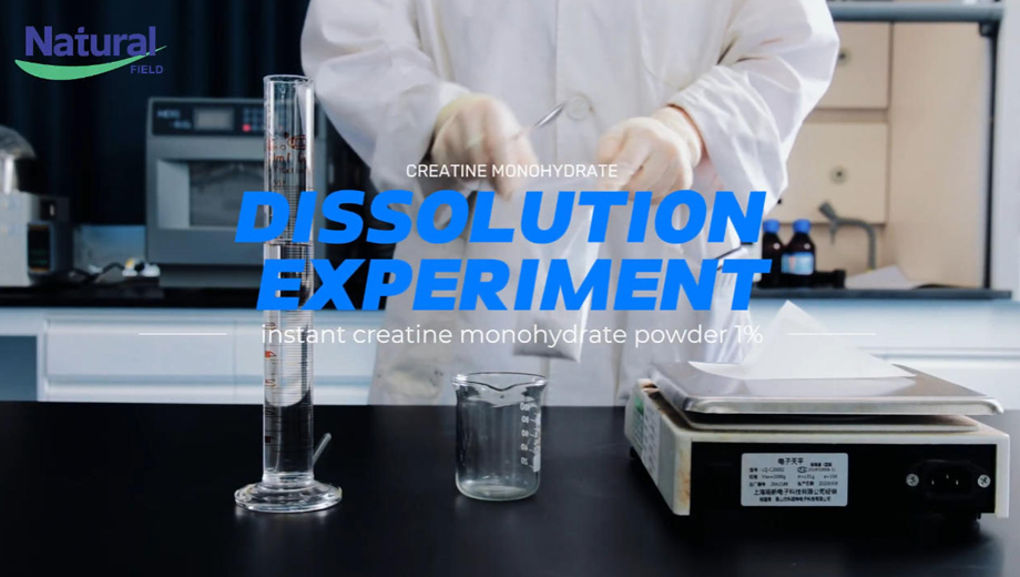 Instantized Creatine Monohydrate Manufacturer | Enhanced Solubility & Faster Dissolution Performance