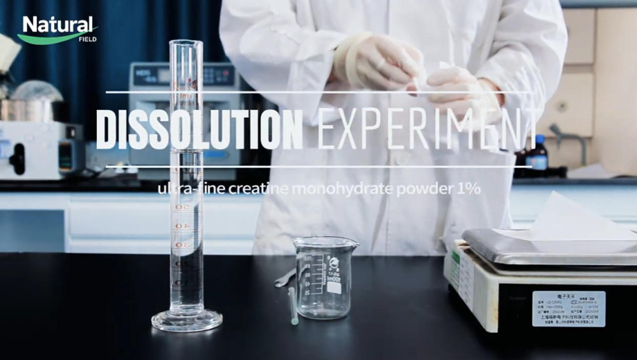 Bulk Micronized Creatine Monohydrate Manufacturer | Fine Particle Size & Improved Dispersion Performance