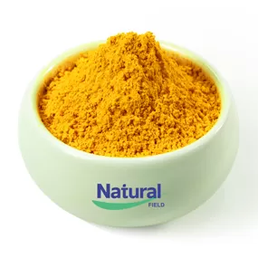 Turmeric Curcumin Extract Powder Manufacturer