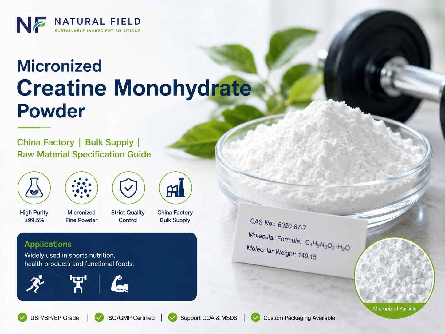 Micronized Creatine Monohydrate Powder: China Factory Bulk Supply and Raw Material Specification Guide