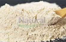 Why Choose Natural Field for Creatine Liposomal Powder?