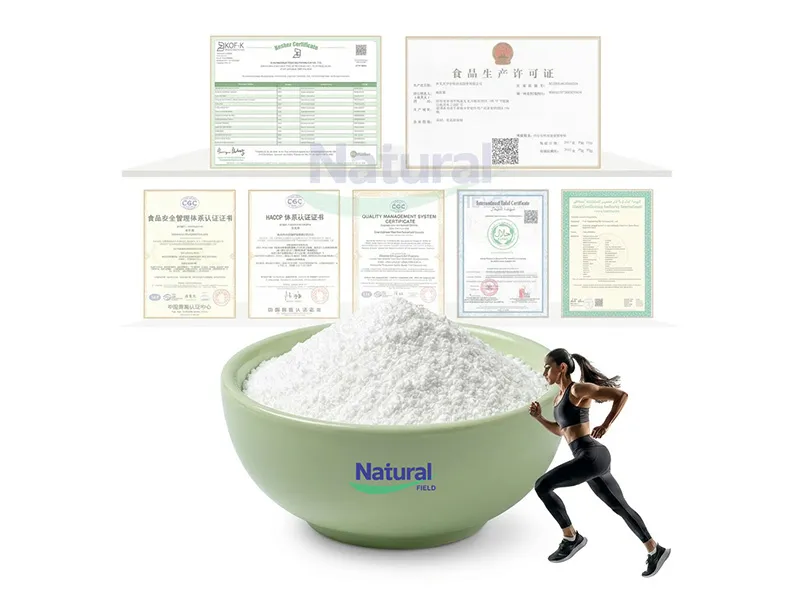 BCAA Explained: What Are Branched-Chain Amino Acids and How Do They Support Muscle Health?