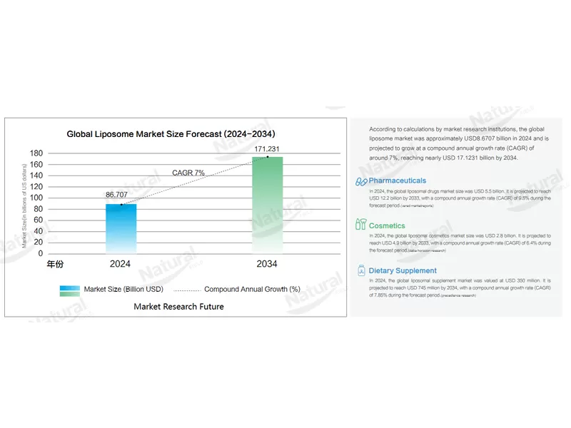 Liposomal Ingredients and Co-Loading Technology: A New Standard for Bioavailability