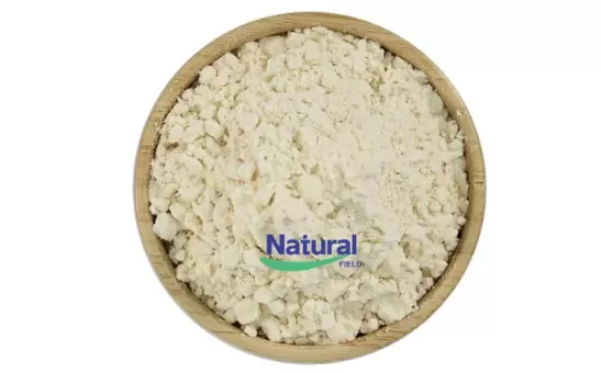 The Science of Liposomal NMN and NAD+ Supplements