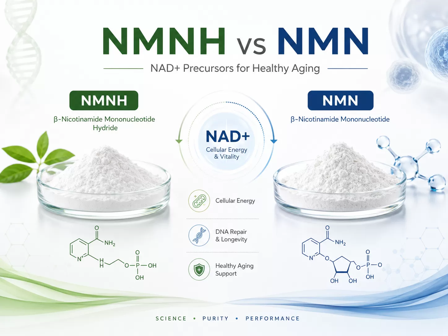 NMNH vs NMN NMNH vs NMN