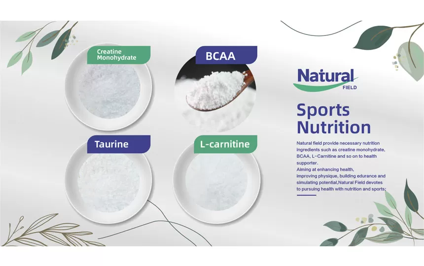 Natural Field, a Top China Manufacturer of Sports Nutrition Supplement Ingredients Raw Material