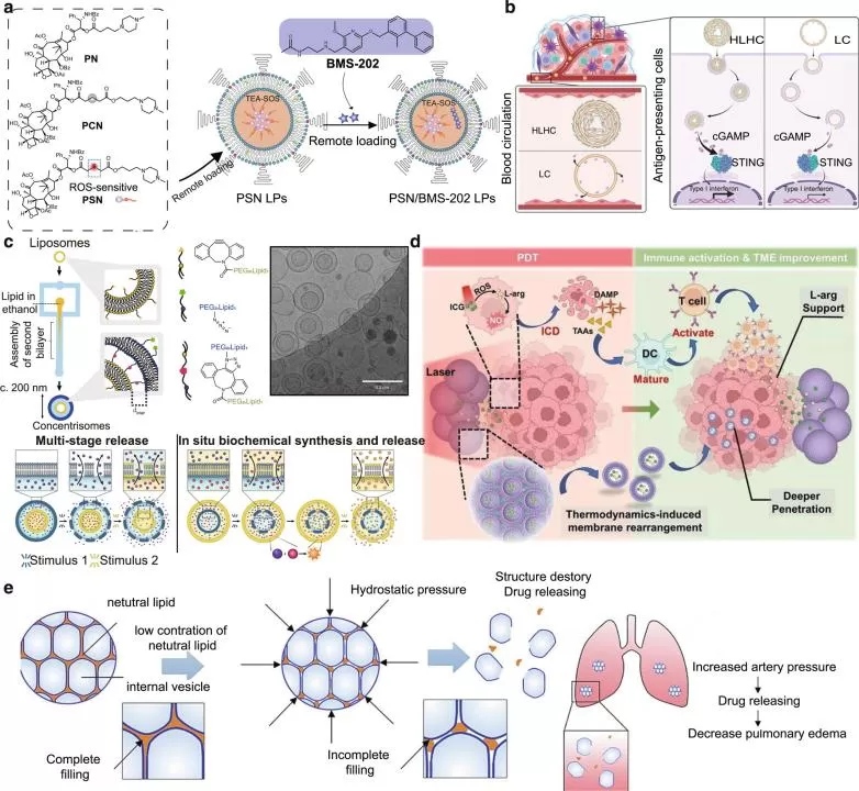 What is Liposomes.png