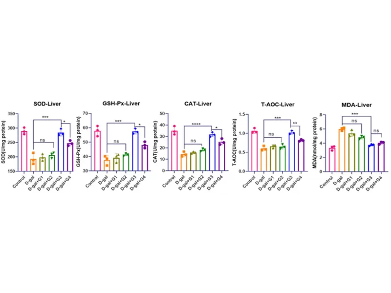 A Scientific Breakthrough in Anti-Aging: Co-loaded CoQ10 Liposomes Demonstrate Multi-Dimensional Potential to Delay Aging