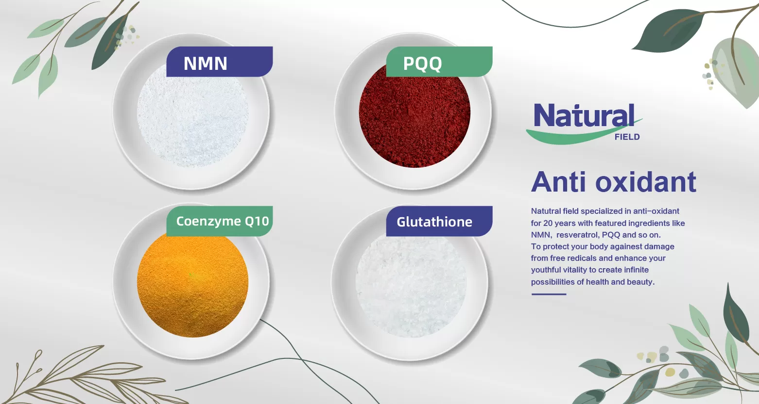 Antioxidants Ingredients for Sports Nutrition and Recovery