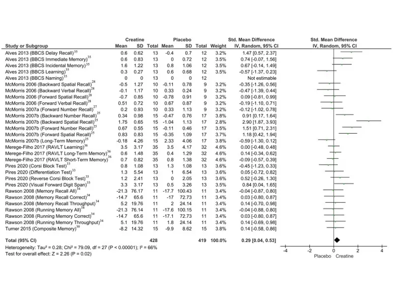 Breaking the Fitness Stereotype: The Role of Creatine Across the Entire Lifespan