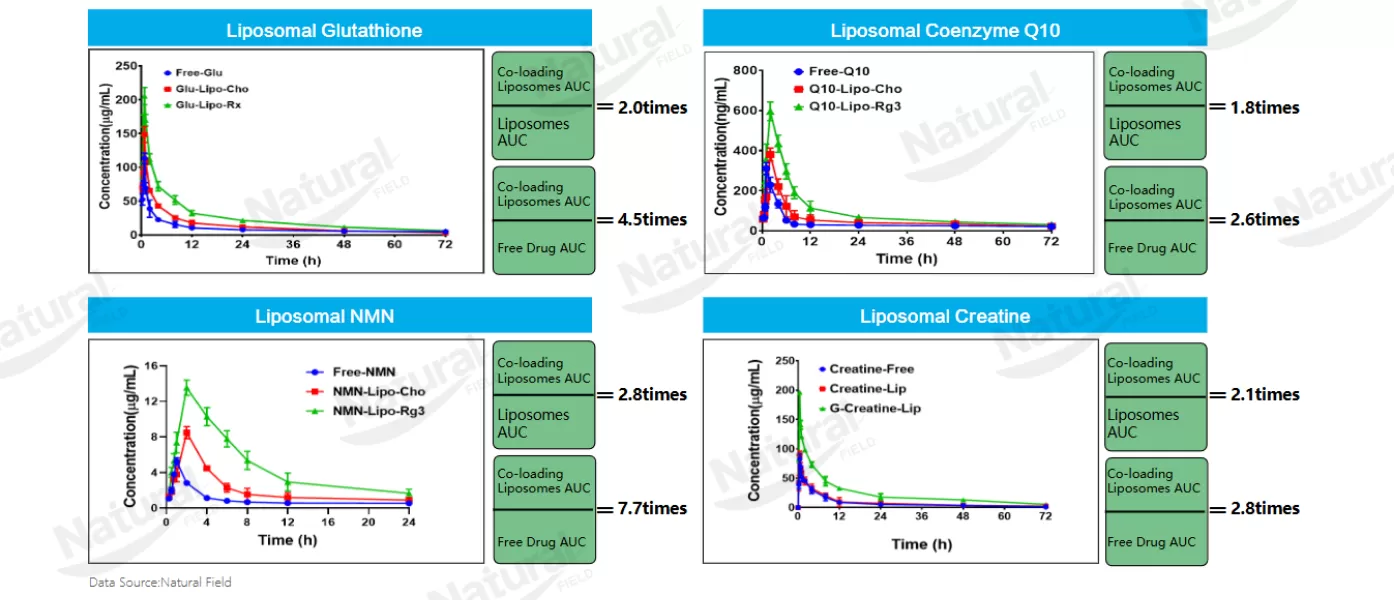 Co-Loading Liposome Technology