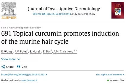 Curcumin: A Natural Powerhouse for Hair Loss Prevention and Holistic Health