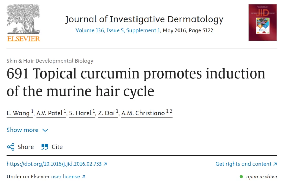 curcumin-a-natural-powerhouse-for-hair-loss-prevention-and-holistic-health.png