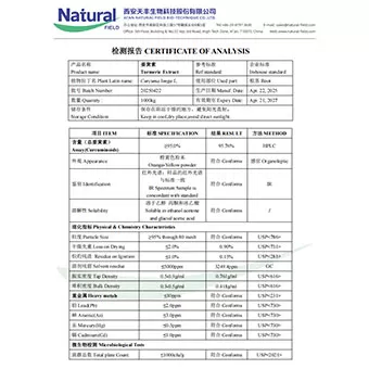 Turmeric Extract 95%