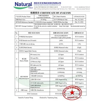 NF-COA Glutathione Liposomes 70%