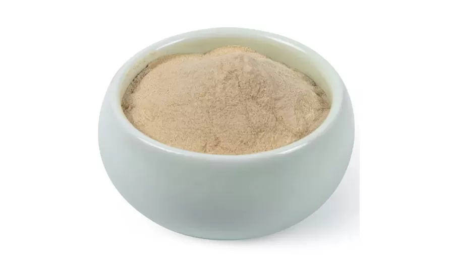 The Evolution of Ashwagandha Extraction Technology: From Traditional Maceration to the Breakthrough of NF Ashwa Instant Debittered Ashwagandha