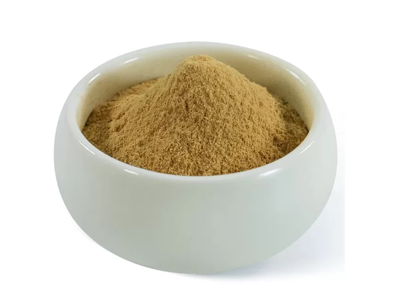 lions mane mushroom powder