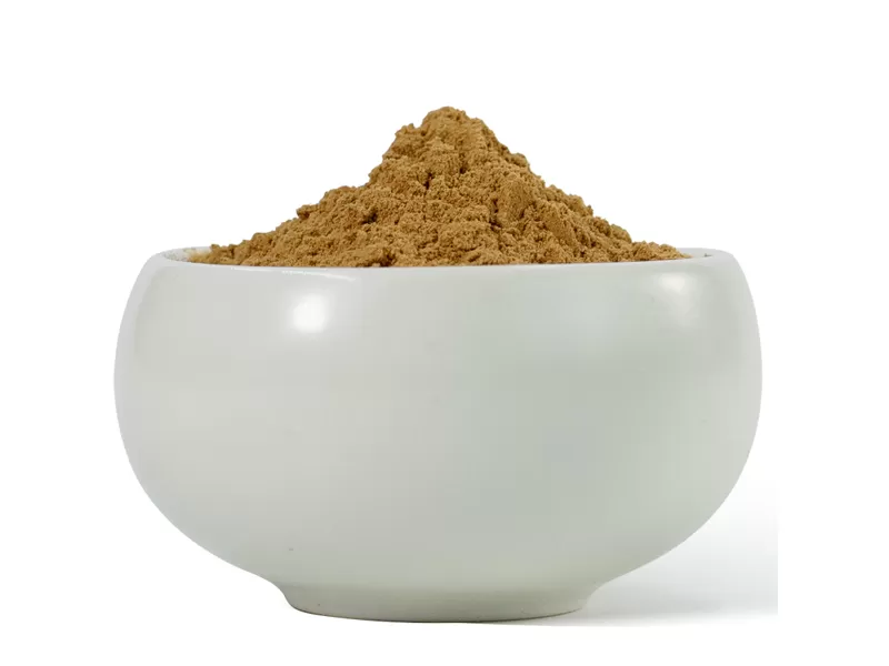 lions mane mushroom powder