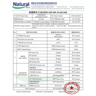 Liposomal Curcumin 70%