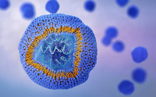How Liposomal Formulations Enhance Nutrient Absorption