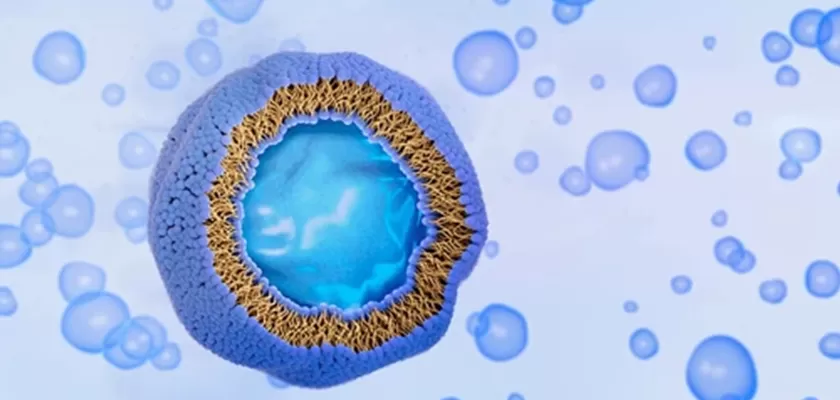 Is Liposomal Vitamin C Really Better than Traditional Ascorbic Acid?