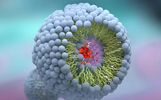 Benefits of Liposomal Delivery Systems Explained