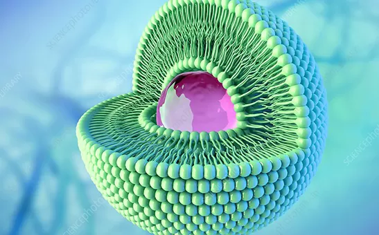 Liposomal Technology Explained: From Bioavailability Challenges to Industrial-Scale Liposomal Powder Manufacturing