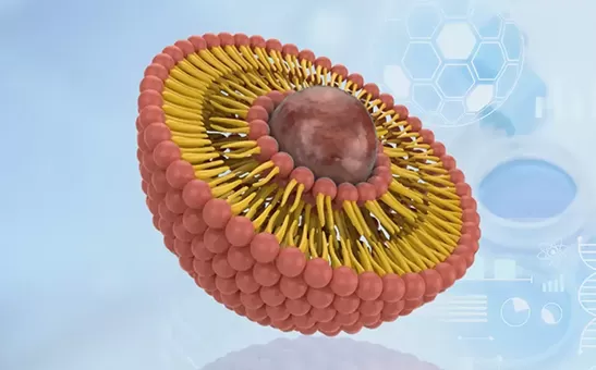 Innovations in Liposomal Technology and Research