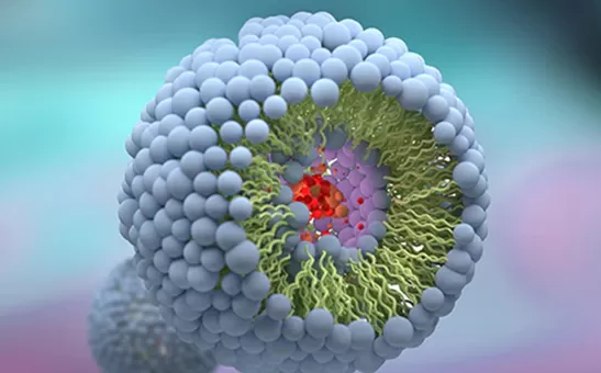 Top 10 Liposomal Manufacturers in USA