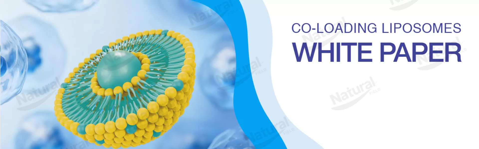 Explore Our Scientific White Paper