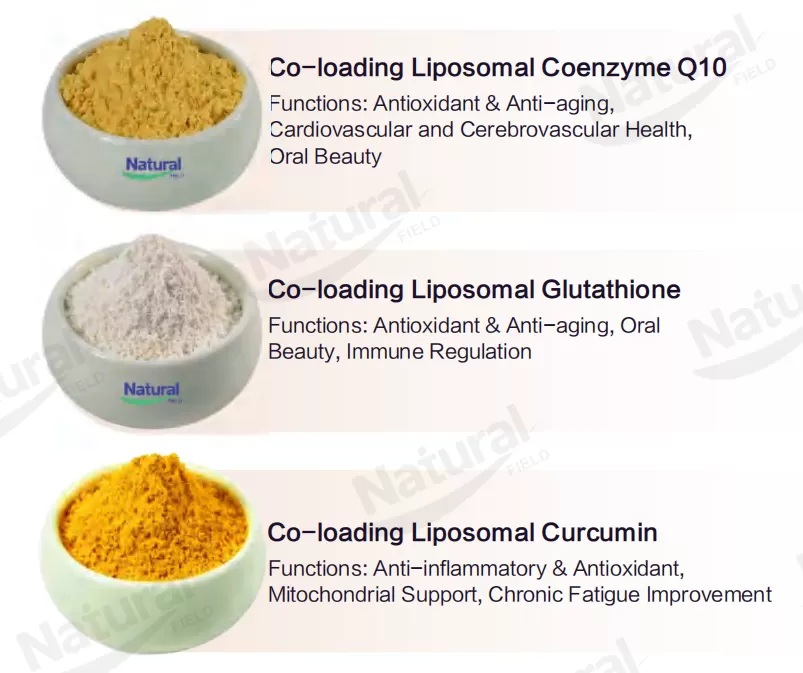 Liposomal Powder