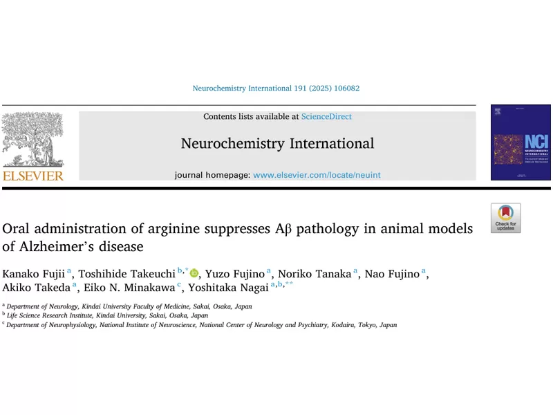 ​Looking for a Safe & Effective Brain Health Ingredient? Arginine: Science-Backed, Cost-Effective, Solving Your Core Product Pain Points!