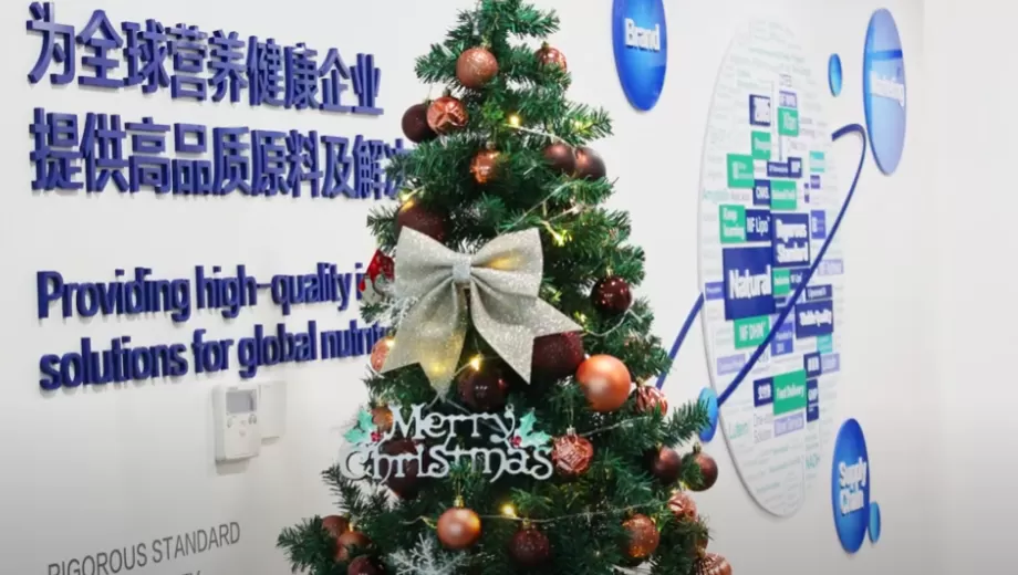 Merry Christmas