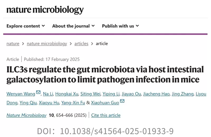 Mind-Blowing: Probiotic Akk Bacteria Aids Pathogens Under Specific Immune Conditions