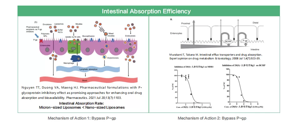 natural-fields-advanced-co-loaded-liposomes (1).png