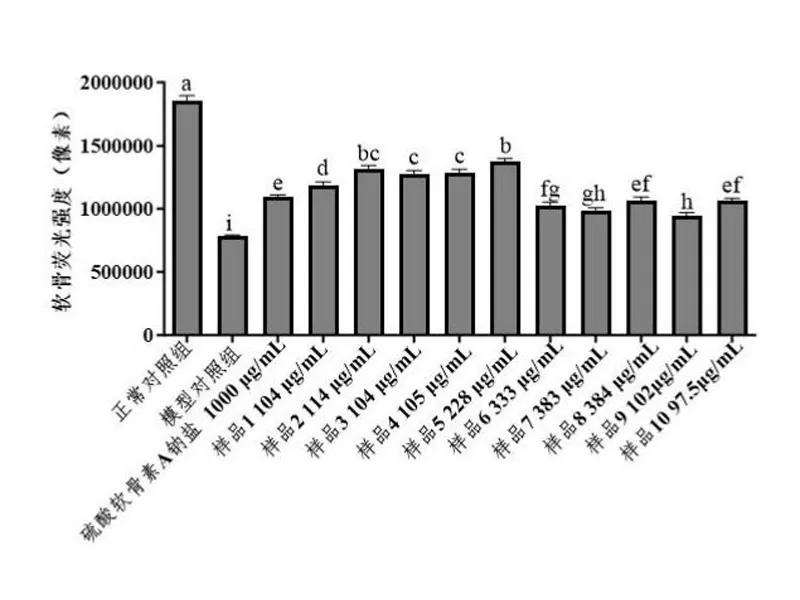 New Research Highlights the Potential of Co-Loaded Glucosamine & Chondroitin Liposomes for Joint Health Applications