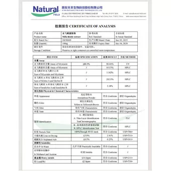 NF-COA-Silymarin Extract