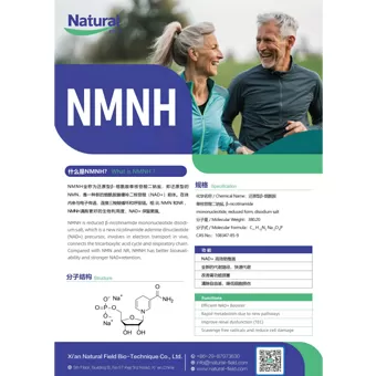 NF-NMNH