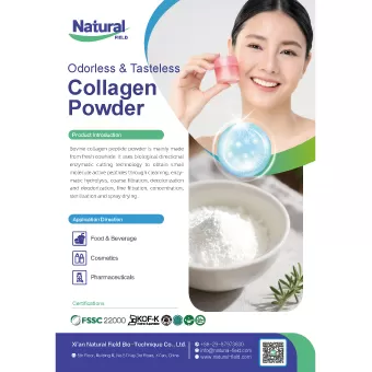 Odorless & Tasteless Collagen Powder