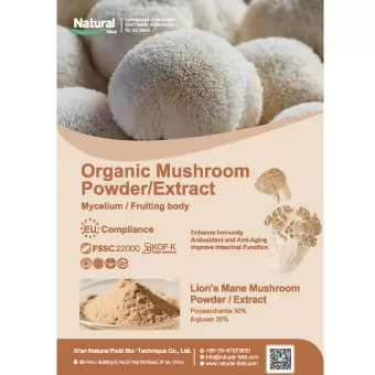 Organic Mushroom Powder/Extract