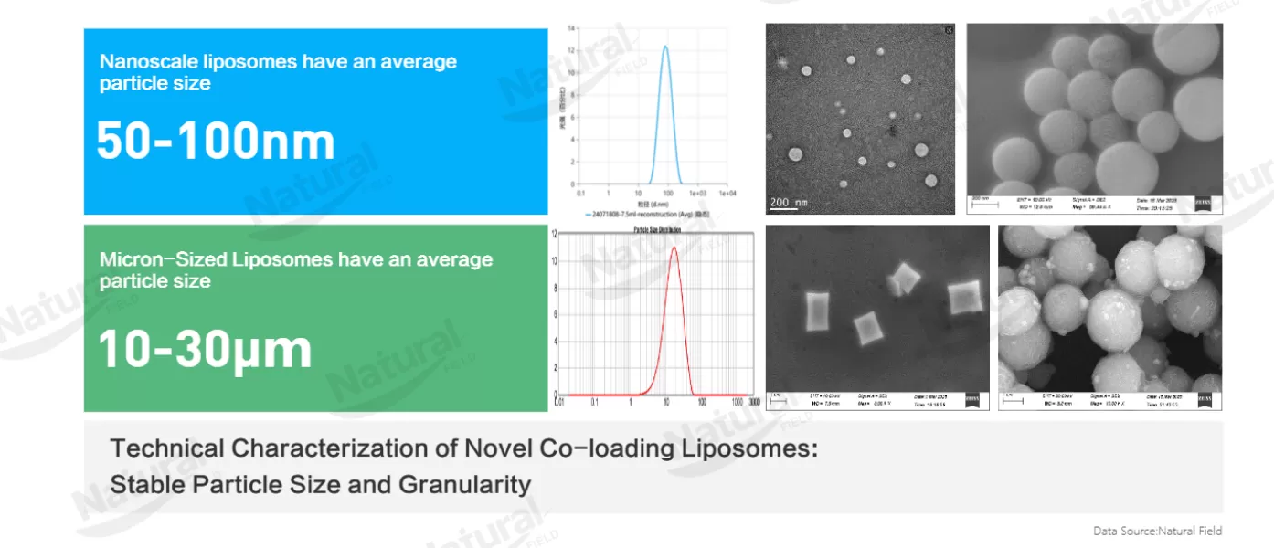 Particle Size Control