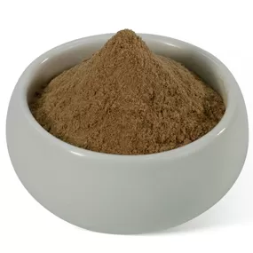 Shiitake Mushroom Extract