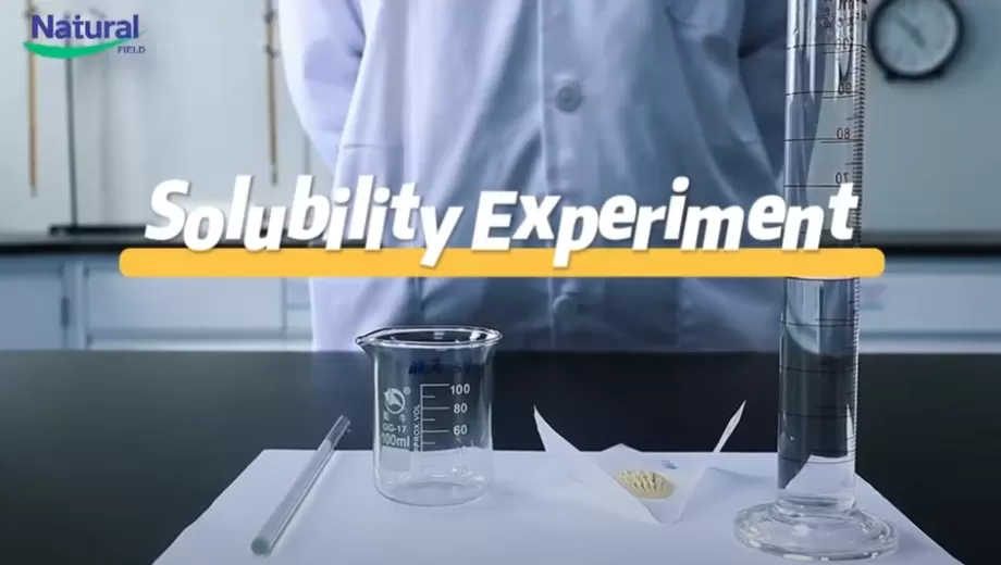 Solubility Experiment of NF Ashwa Ashwagandha Extract Powder