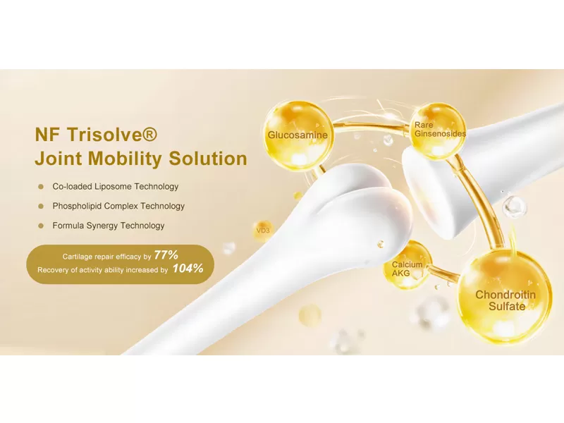 Why Traditional Joint Health Ingredients Are No Longer Enough: The Rise of Multi-Target Joint Mobility Solutions