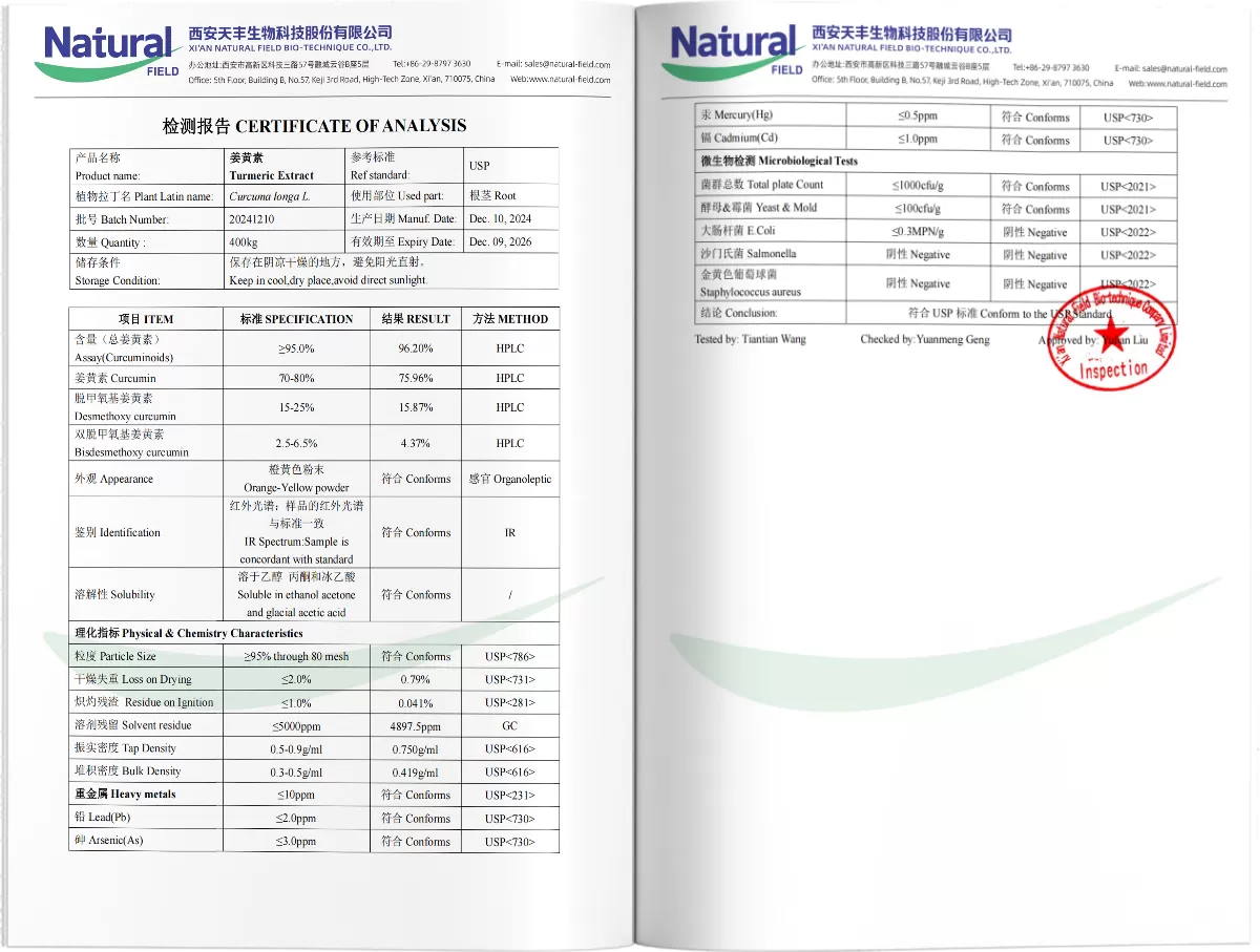 Turmeric Curcumin Extract PDF