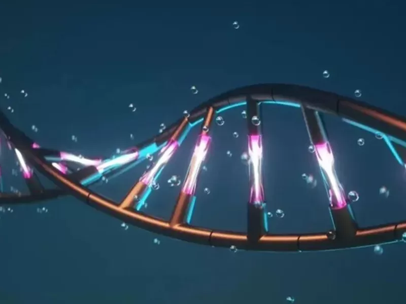 What is NAD+ That Scientists Have Studied for 100 Years?